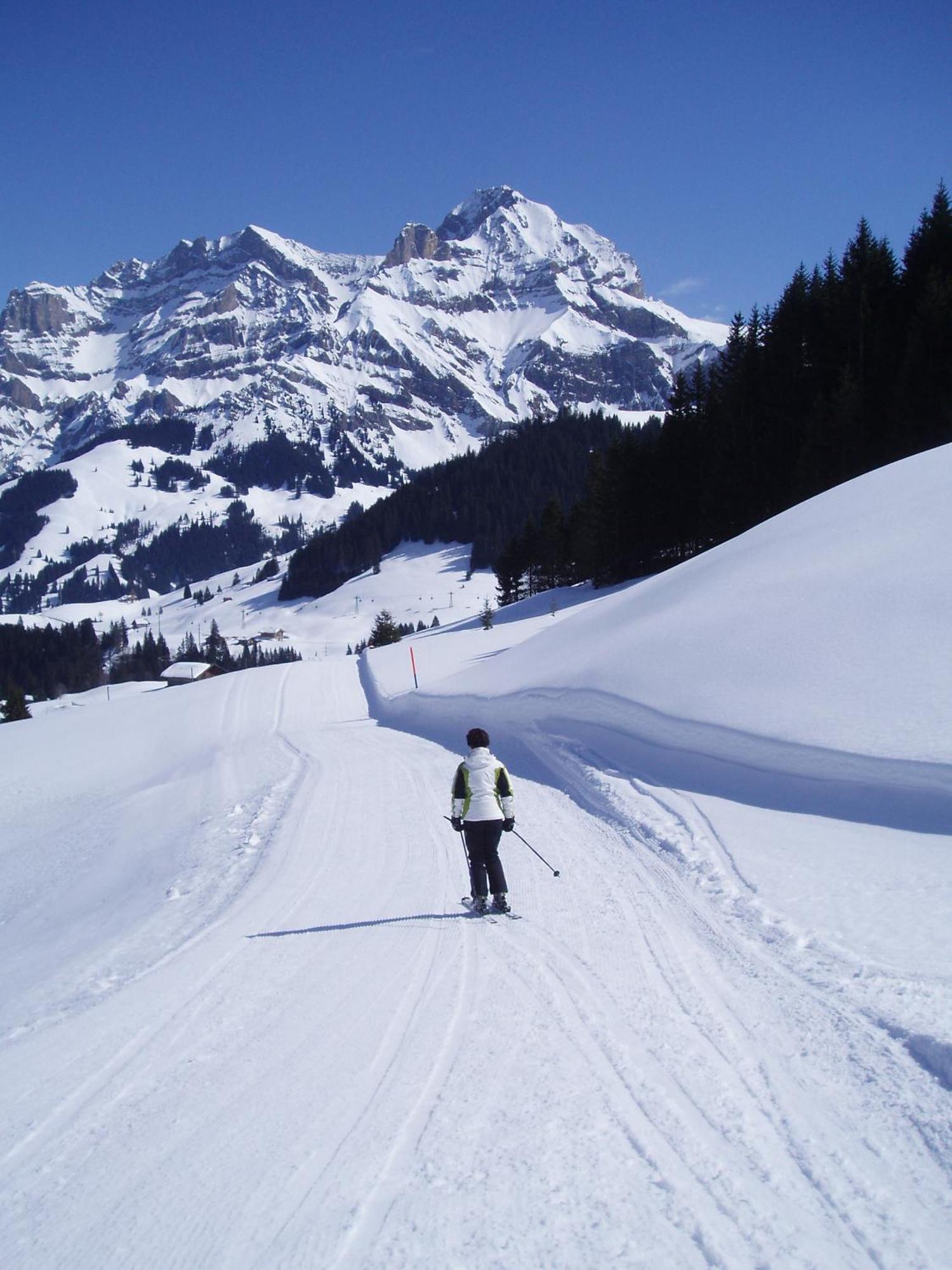 Hotel Des Alpes Adelboden Exterior photo