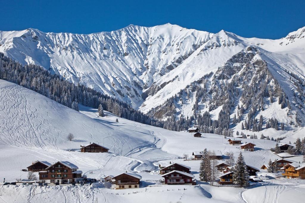 Hotel Des Alpes Adelboden Exterior photo