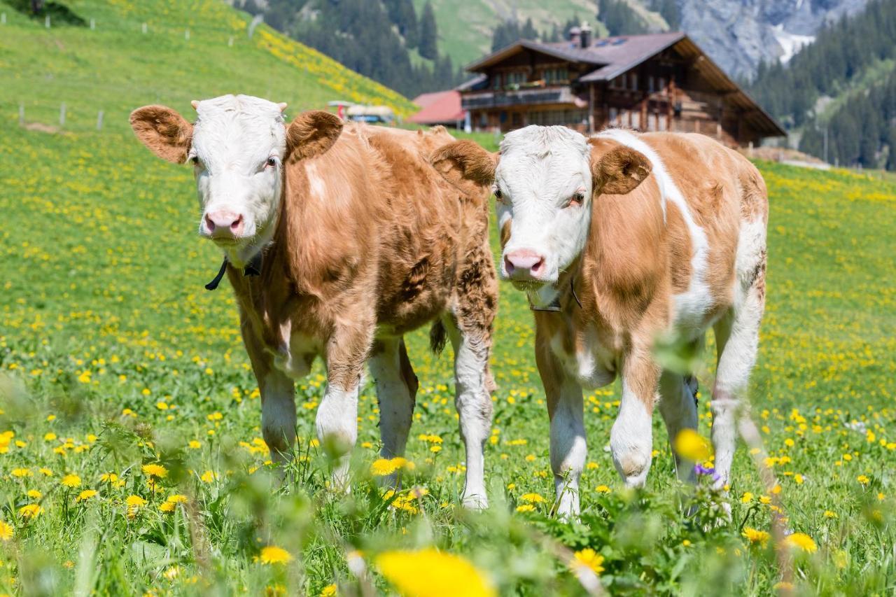 Hotel Des Alpes Adelboden Exterior photo
