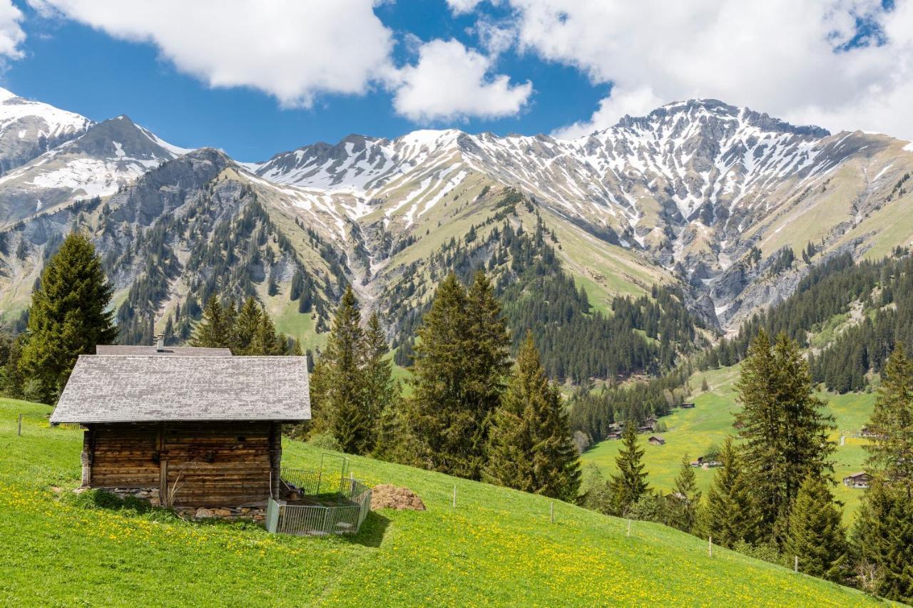 Hotel Des Alpes Adelboden Exterior photo